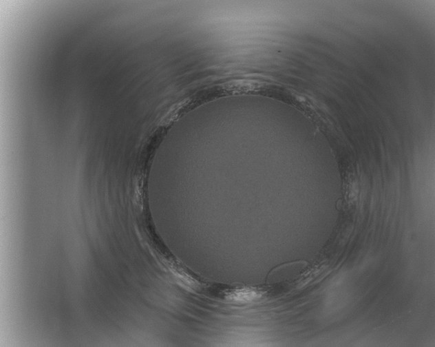 X0000063530759200602032136