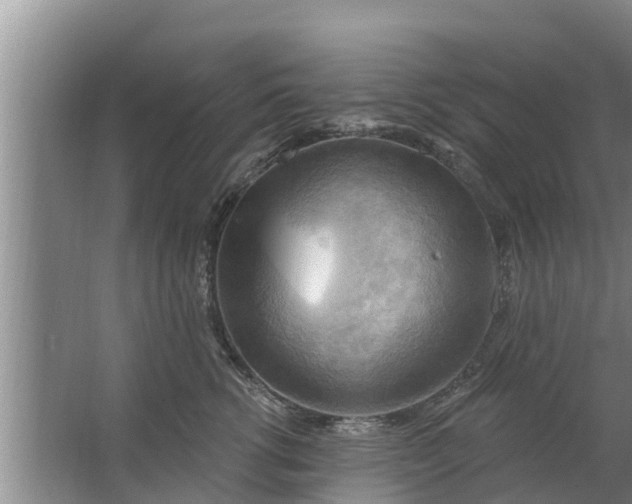 X0000063530762200602032136