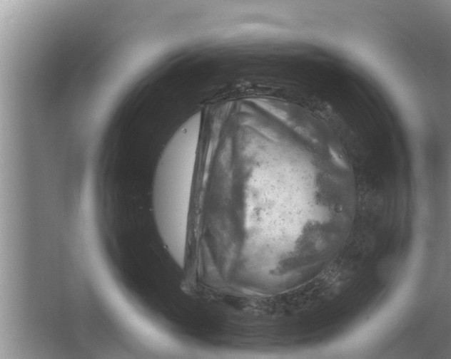 X0000063530765200602032136