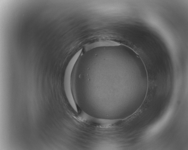 X0000063530766200602032136