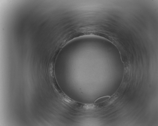 X0000063530767200602032136