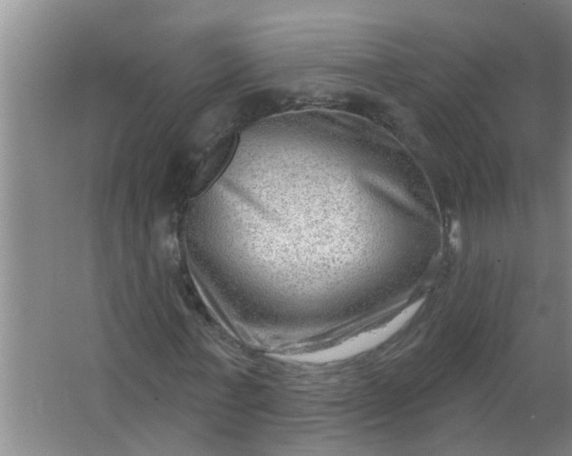 X0000063530771200602032135