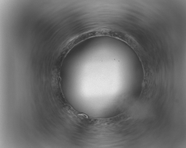 X0000063530773200602032135