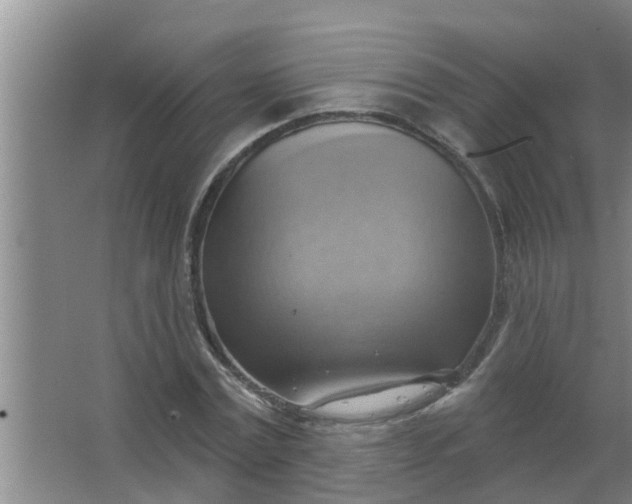 X0000063530779200602032135