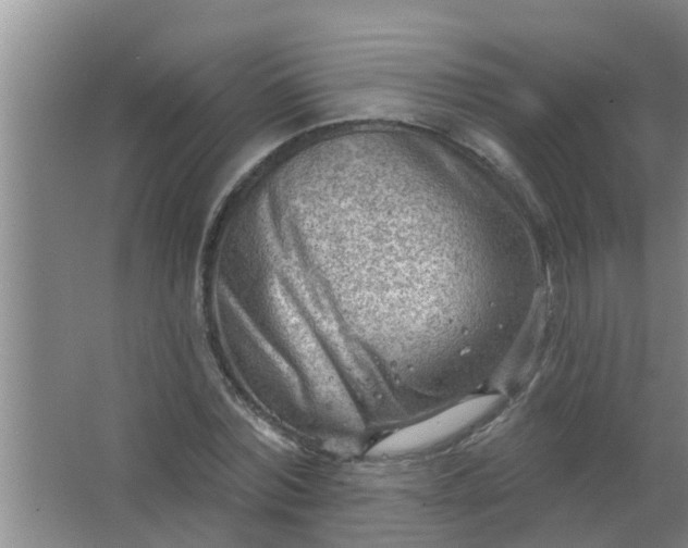 X0000063530780200602032135