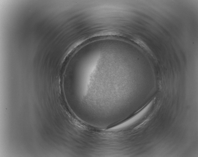 X0000063530781200602032135