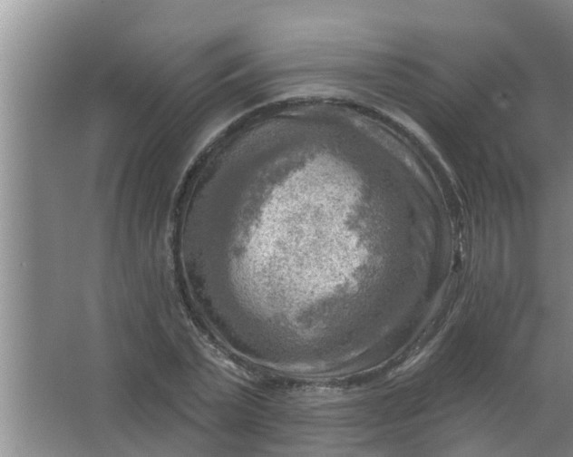 X0000063530783200602032135