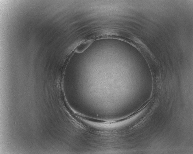 X0000063530785200602032135