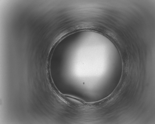 X0000063530786200602032135