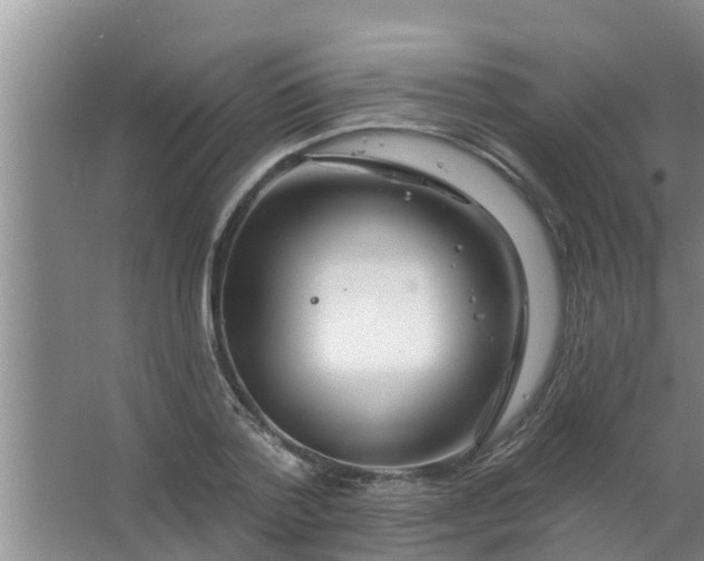 X0000063530788200602032135