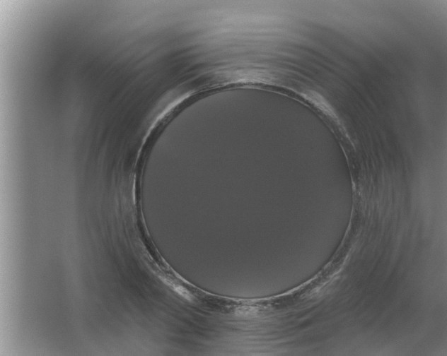 X0000063530790200602032135