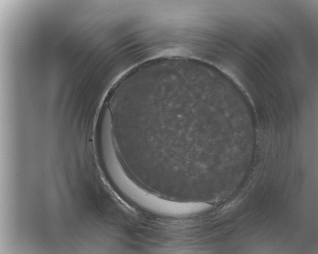 X0000063530791200602032135