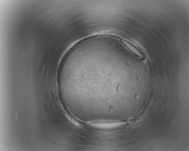 X0000063530792200602032135