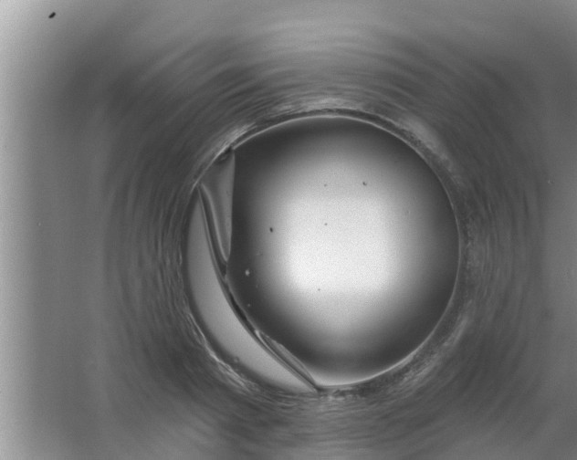 X0000063530793200602032135