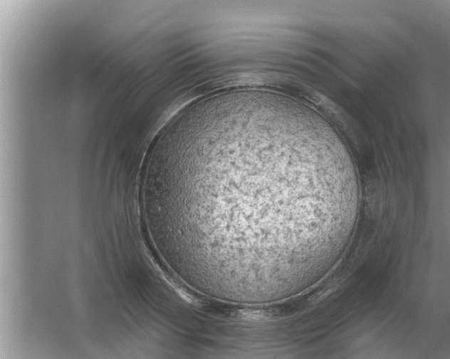 X0000063530794200602032135