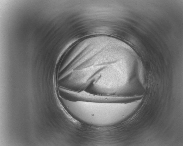 X0000063530796200602032135