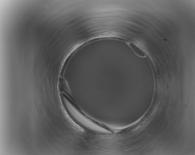 X0000063530797200602032135