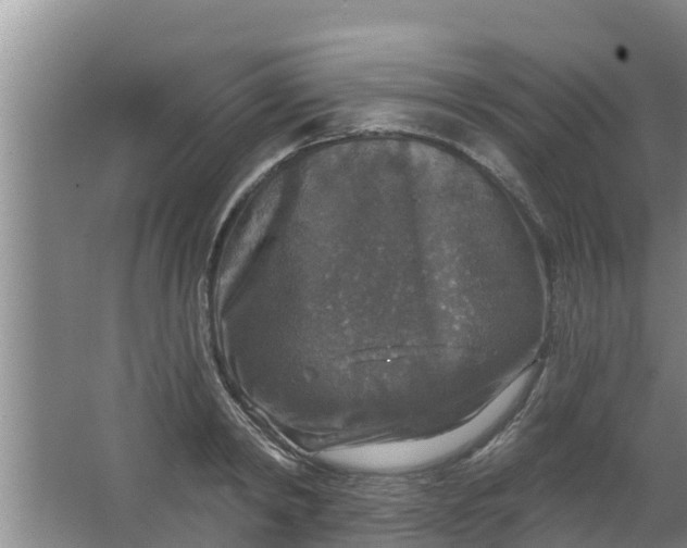 X0000063530798200602032135