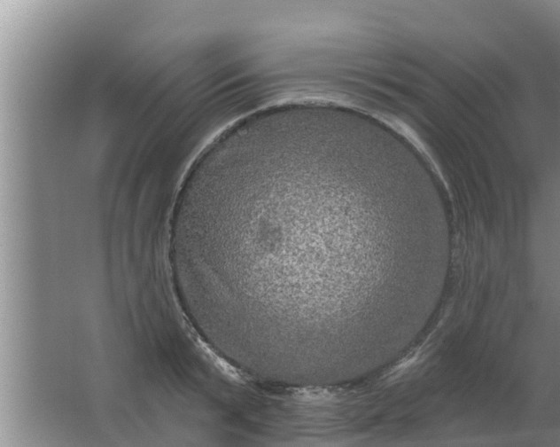 X0000063530799200602032135