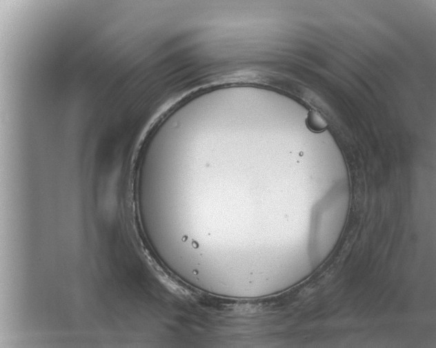 X0000063530800200602032135