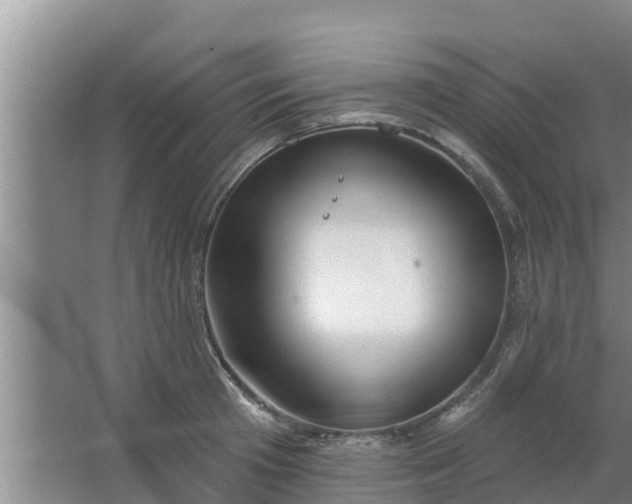 X0000063530801200602032135