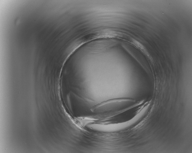 X0000063530802200602032135