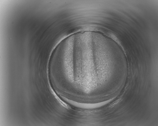 X0000063530803200602032135