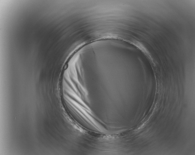 X0000063530806200602032134