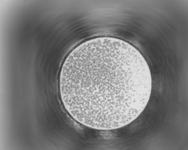 X0000063530807200602032134