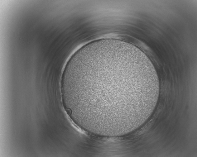 X0000063530808200602032134