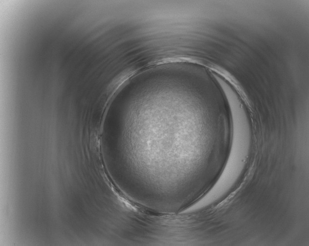 X0000063530809200602032134