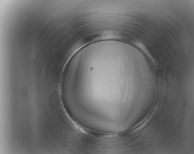 X0000063530810200602032134