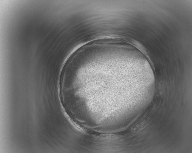 X0000063530811200602032134