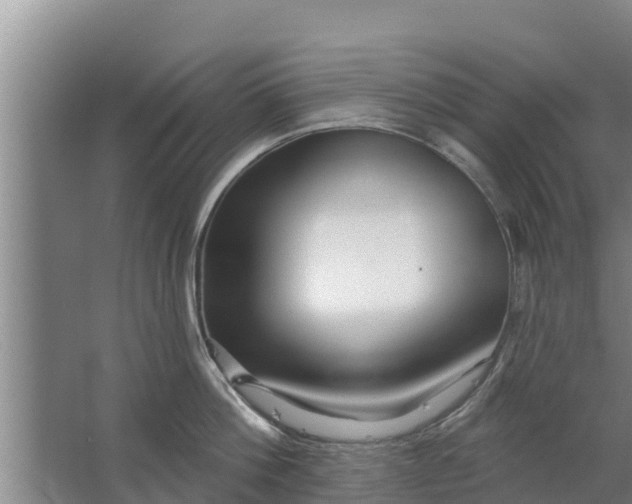 X0000063530812200602032134