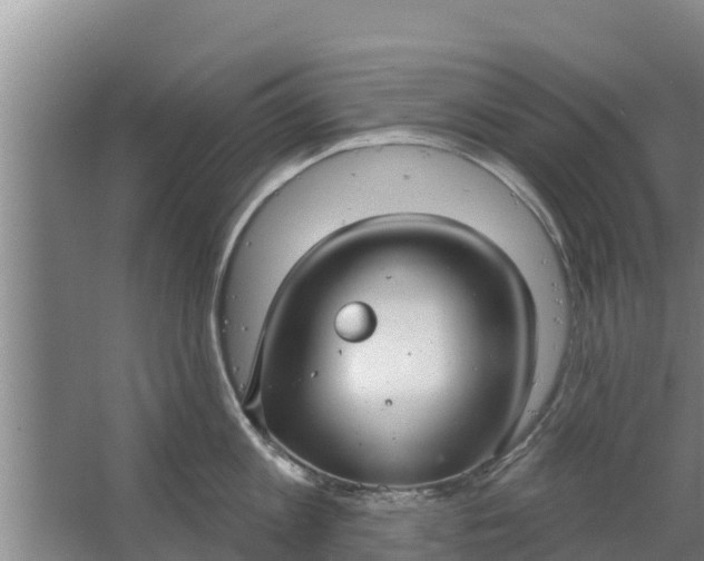 X0000063530813200602032134