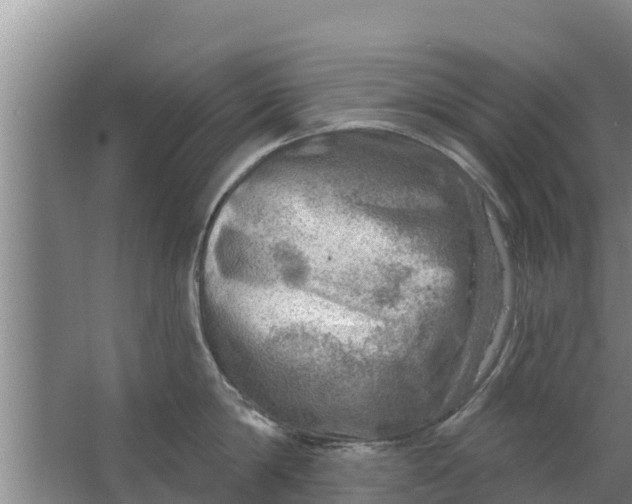 X0000063530814200602032134