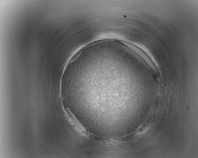 X0000063530815200602032134