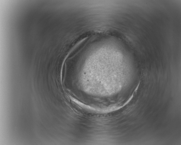 X0000063530817200602032133