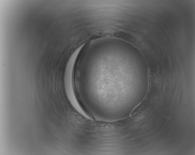 X0000063530818200602032133