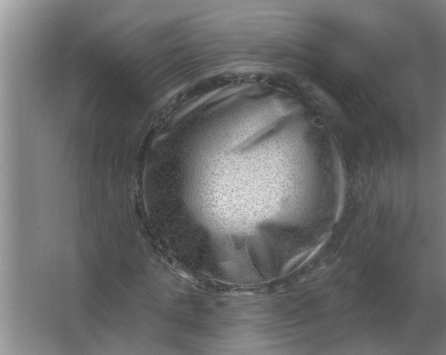 X0000063530821200602032134