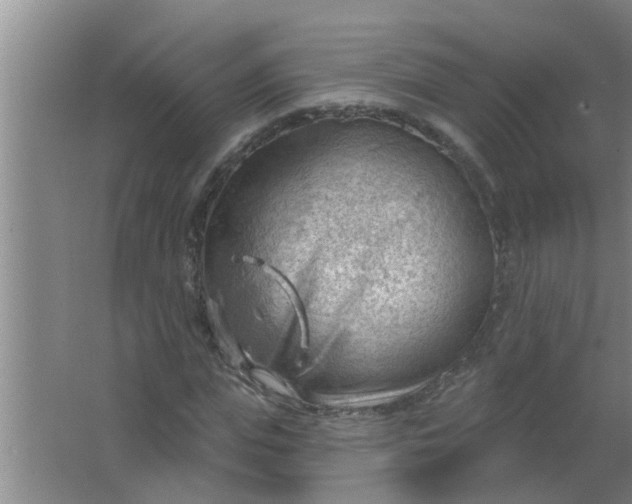 X0000063530823200602032134