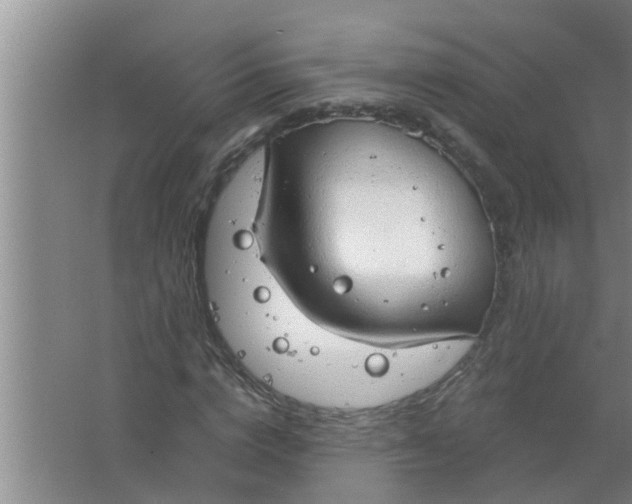 X0000063530824200602032134