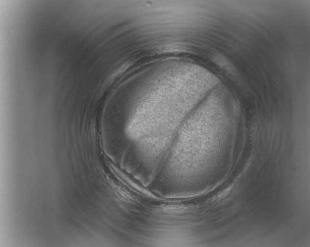 X0000063530825200602032134