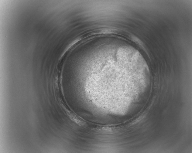 X0000063530827200602032134