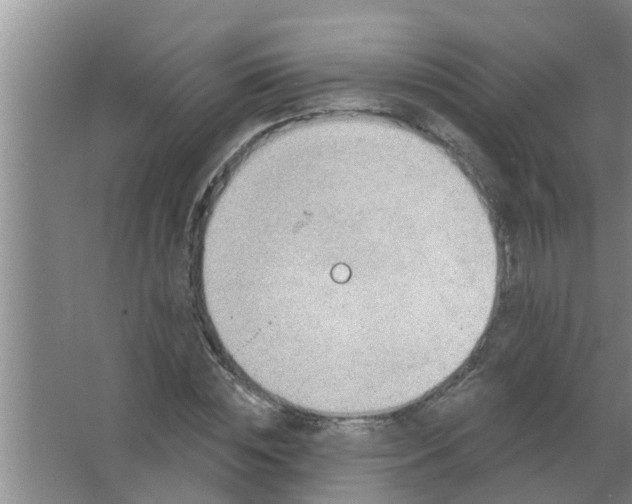 X0000063530828200602032134