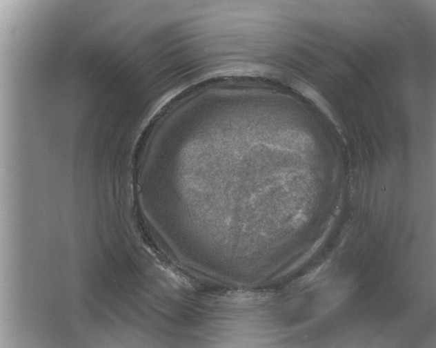 X0000063530829200602032134