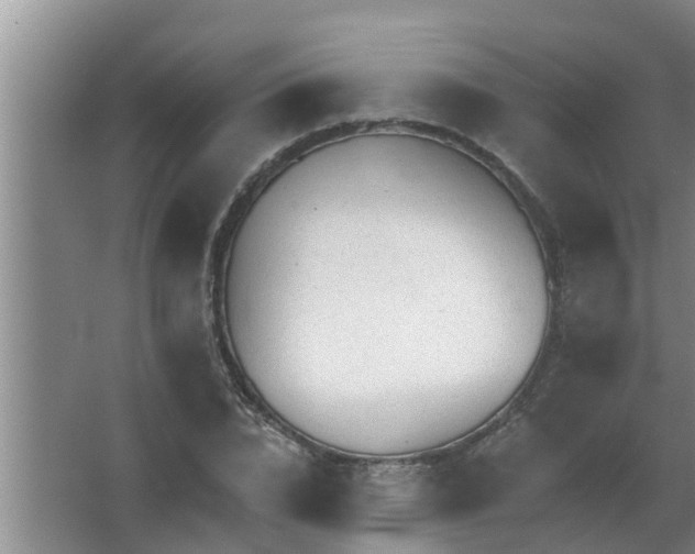 X0000063530832200602032134