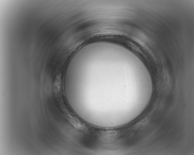 X0000063530833200602032134