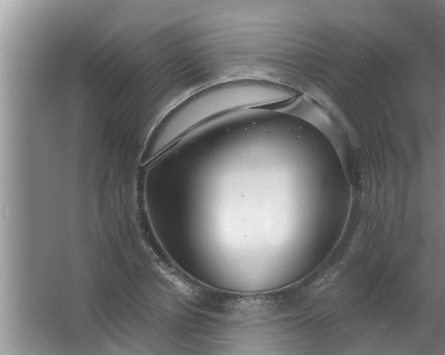 X0000063530834200602032134