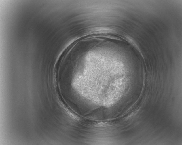 X0000063530835200602032134